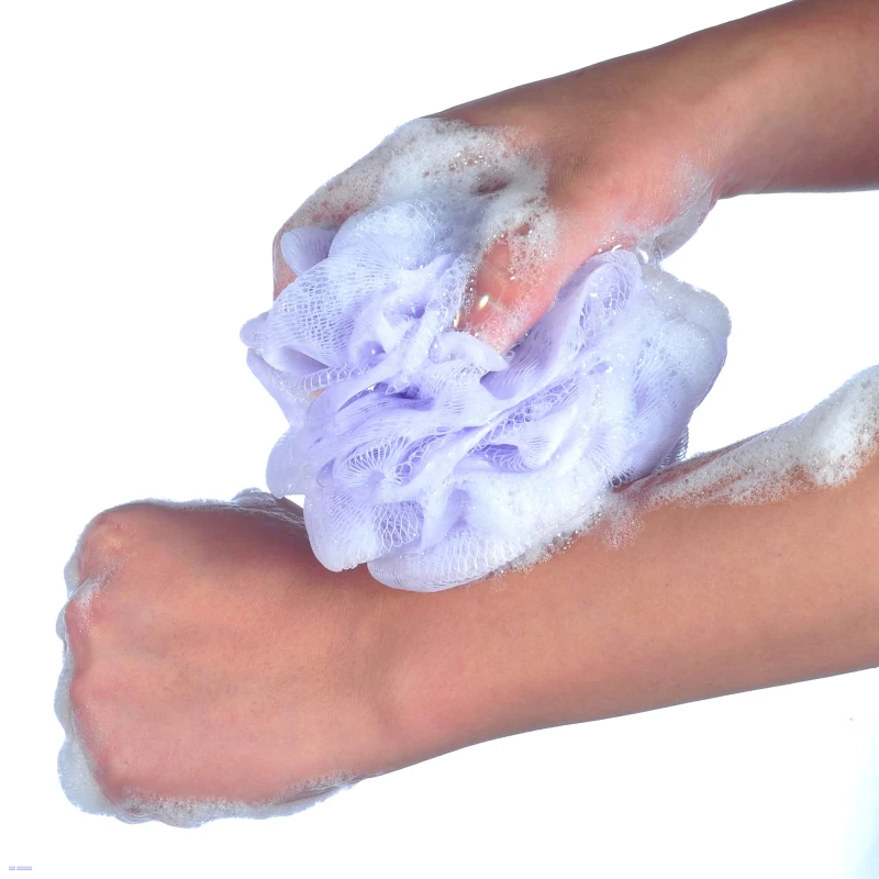 ليفة جسم شبكية